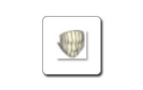 Fredo6 Curviloft（曲线放样）