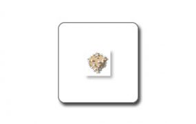 Random Tools 随机工具