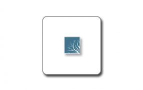 LiveSync for  SketchUp（Lumion联动）