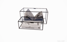 装饰摆件 ID：202302206