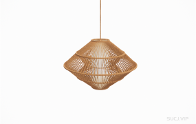 藤编装饰吊灯 ID：2023032012