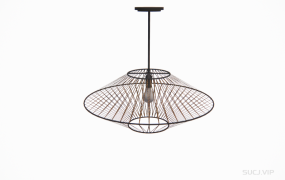 藤编装饰吊灯 ID：2023032020