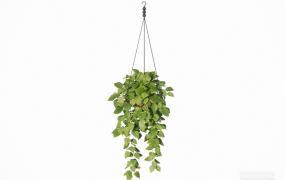 绿植摆件 ID：2023032219