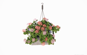 绿植摆件 ID：2023032221