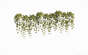 绿植摆件 ID：2023032225