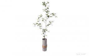 绿植 ID：2023033009